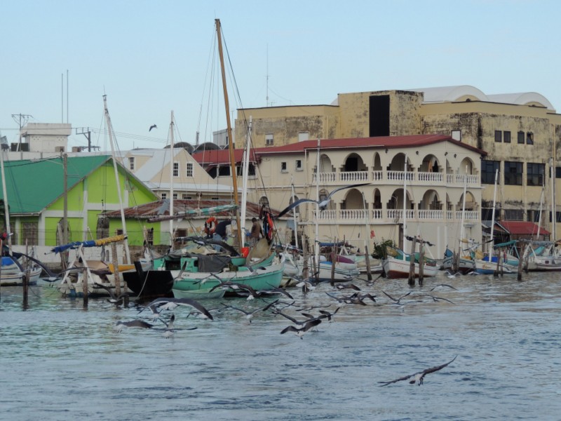 Back from the catch, Belize City, Belize