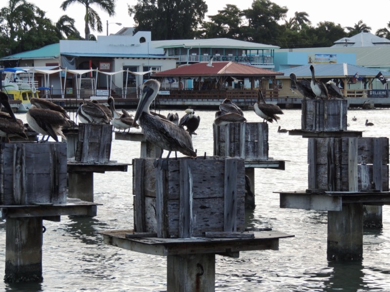 Ferry pier, Belize City, Belize