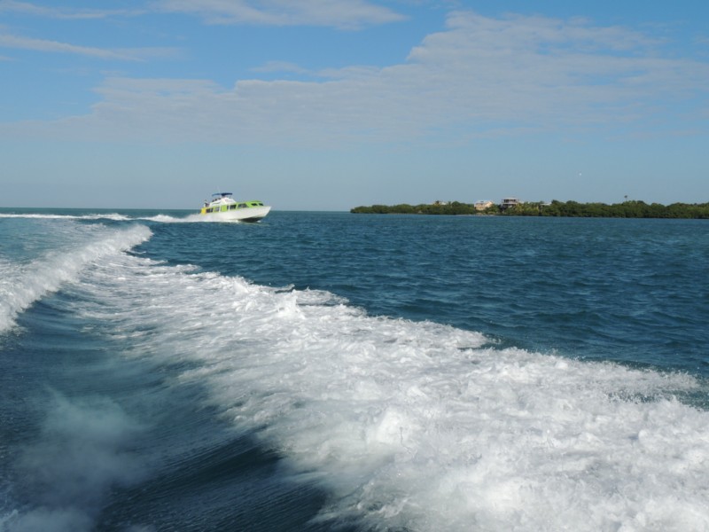 To meet the adventure, Caye Caulker San Pedro, Belize