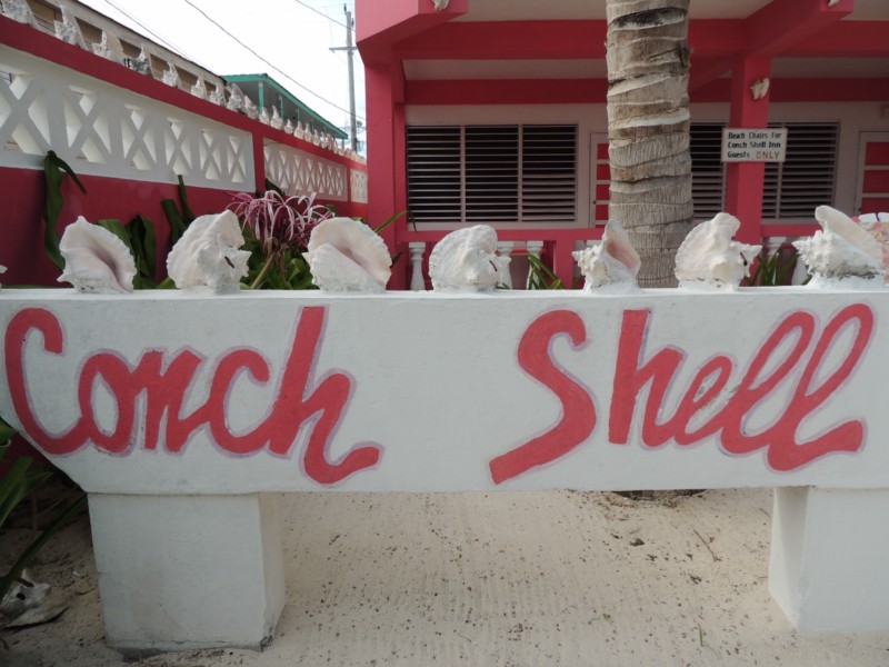 Original fence ornaments, Caye Caulker San Pedro, Belize