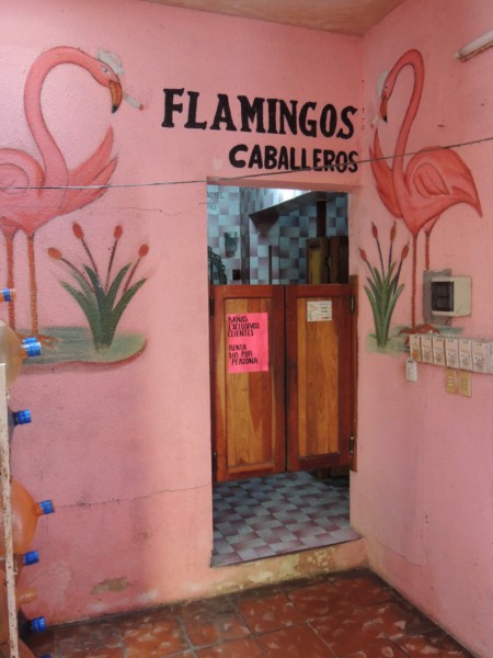 For flamingo boys, Celestun Reserve, Mexico