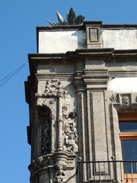Surprising combination, Mexico City, Mexico