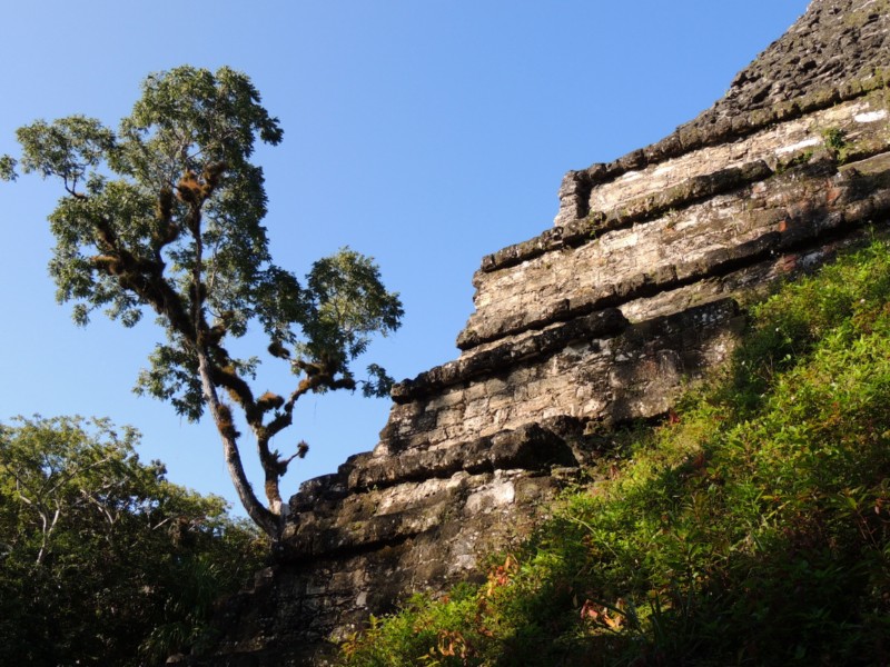 Talud-tablero layout, Tikal, Guatemala
