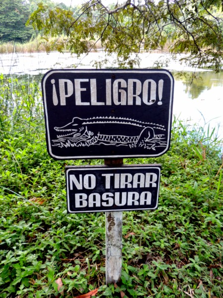 I'm glad I noticed this information board, Tikal, Guatemala