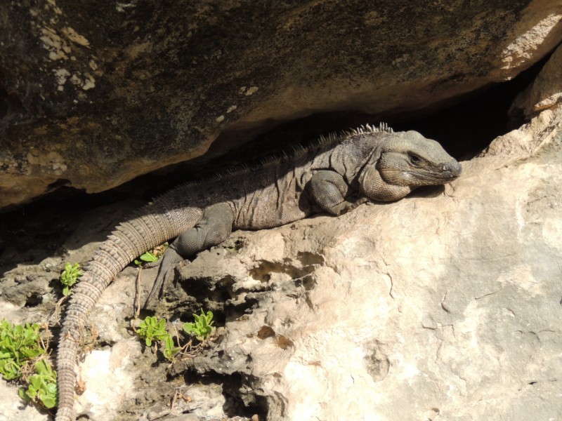 Cool and safe, Tulum, Mexico