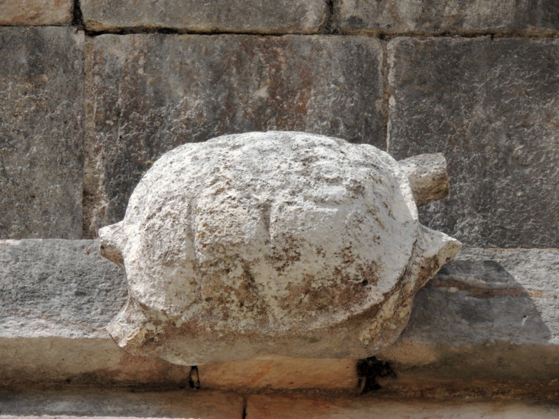 Turtle Stone Sculpture, Uxmal, Mexico